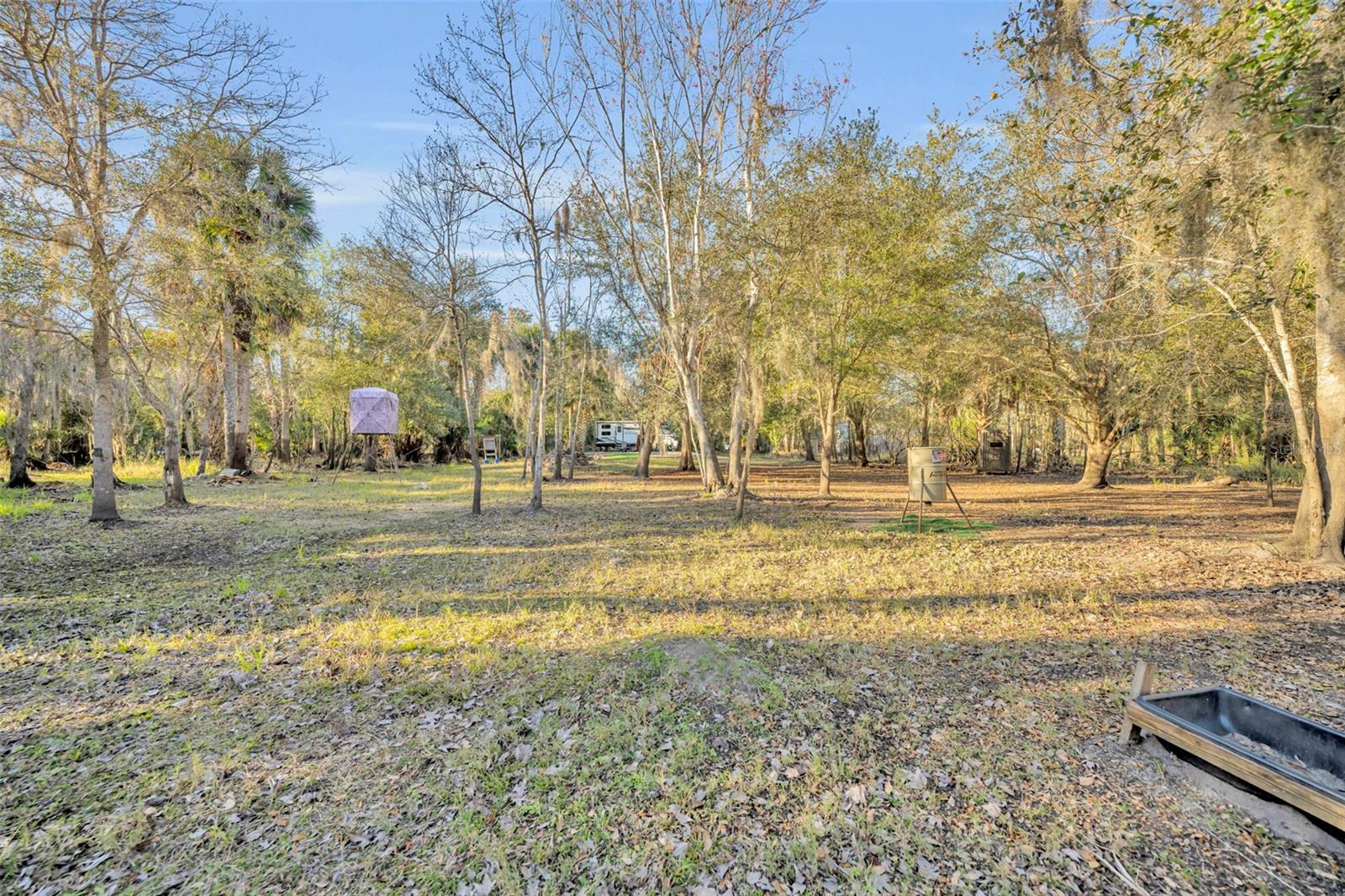 2740 WITHLACOOCHEE PT, GENEVA, FL, 32732