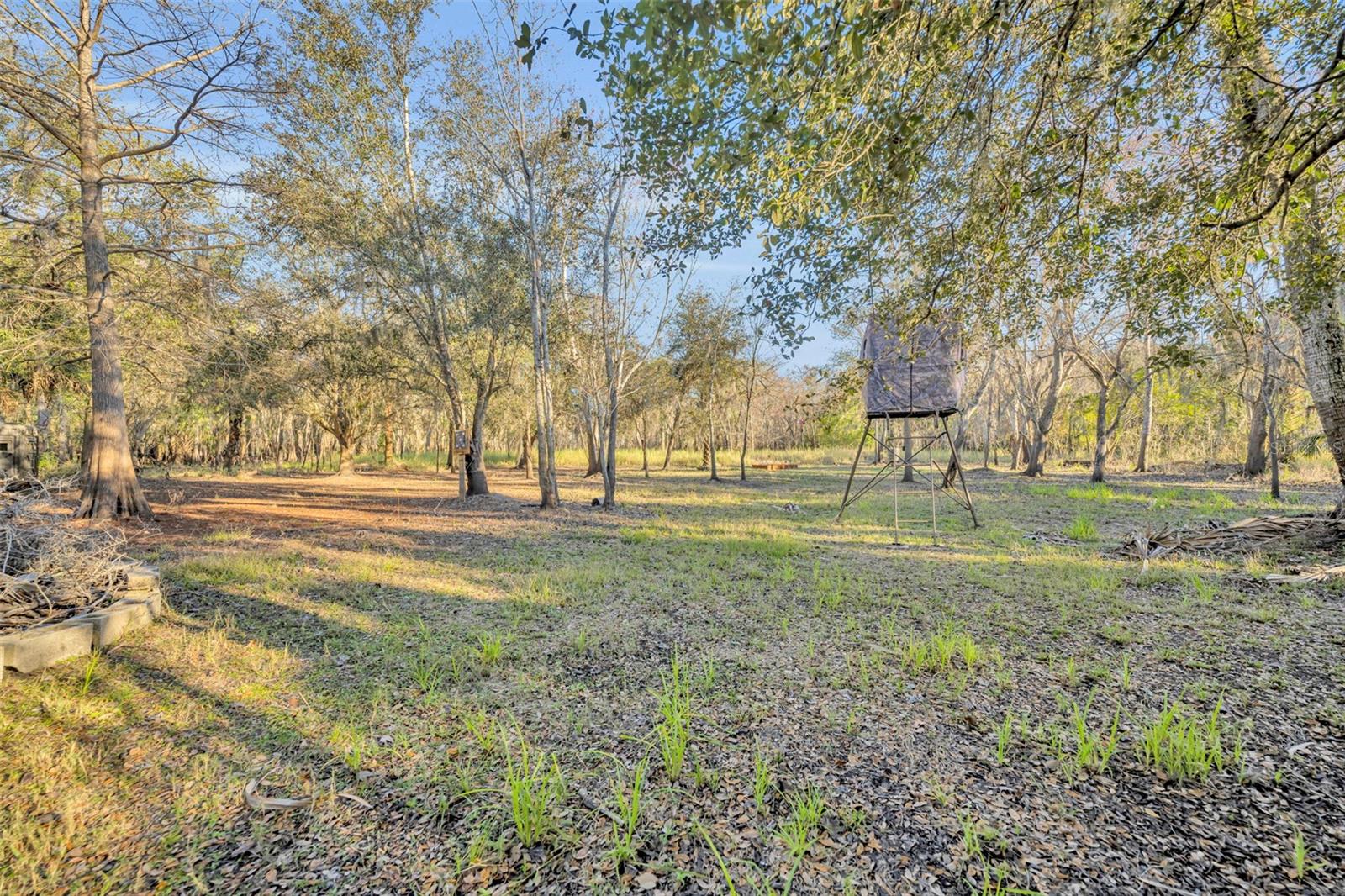 2740 WITHLACOOCHEE PT, GENEVA, FL, 32732