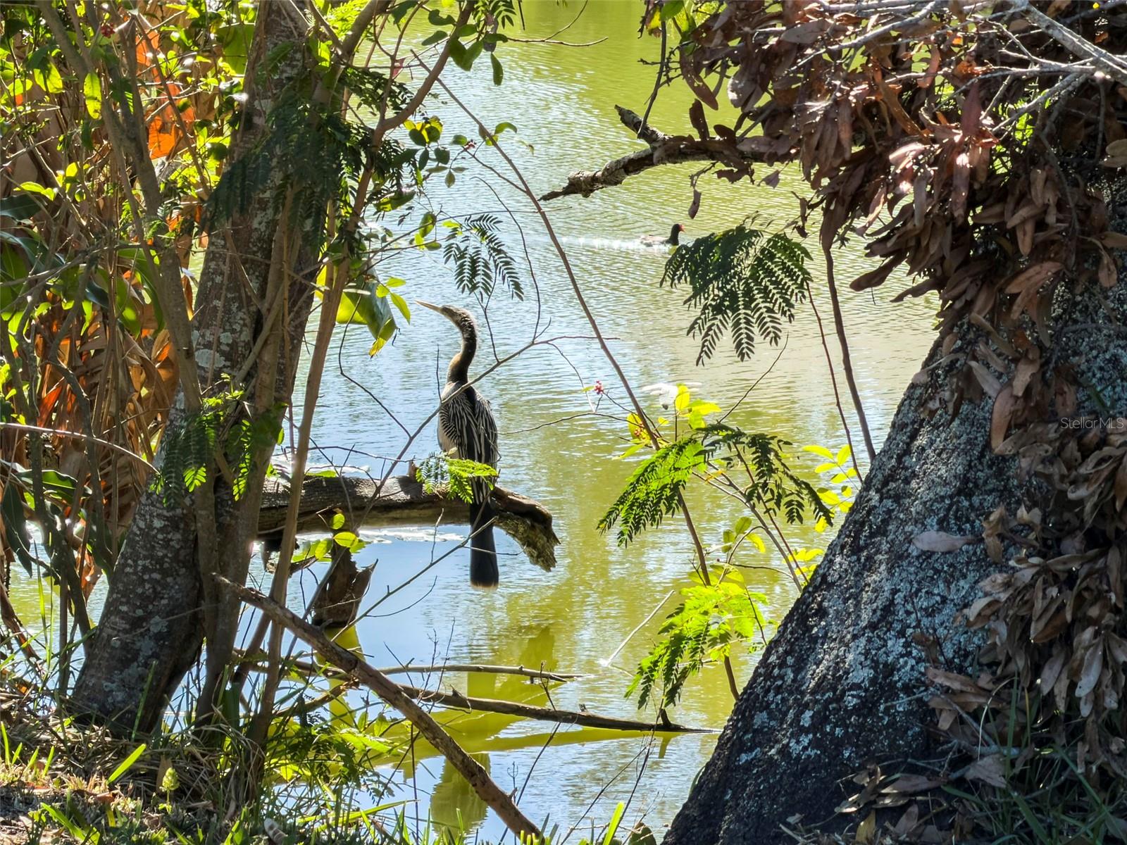 6121 58TH ST N, ST PETERSBURG, FL, 33709