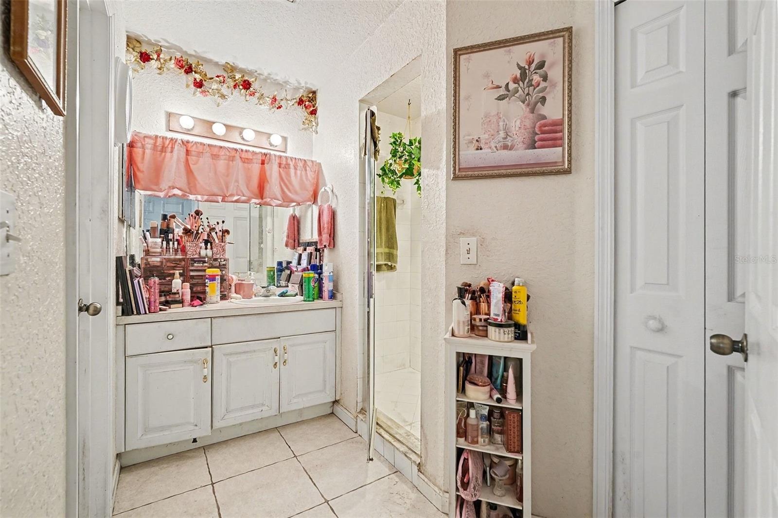 16318 PARKSTONE PALMS CT, TAMPA, FL, 33647