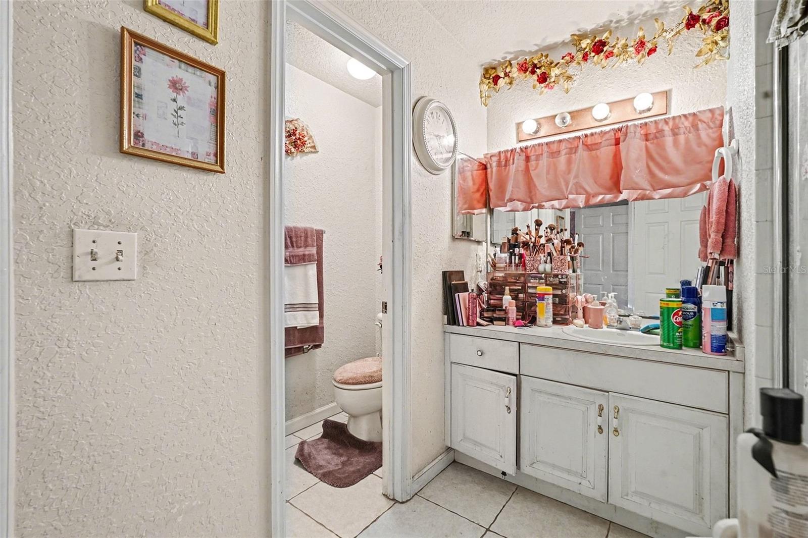 16318 PARKSTONE PALMS CT, TAMPA, FL, 33647