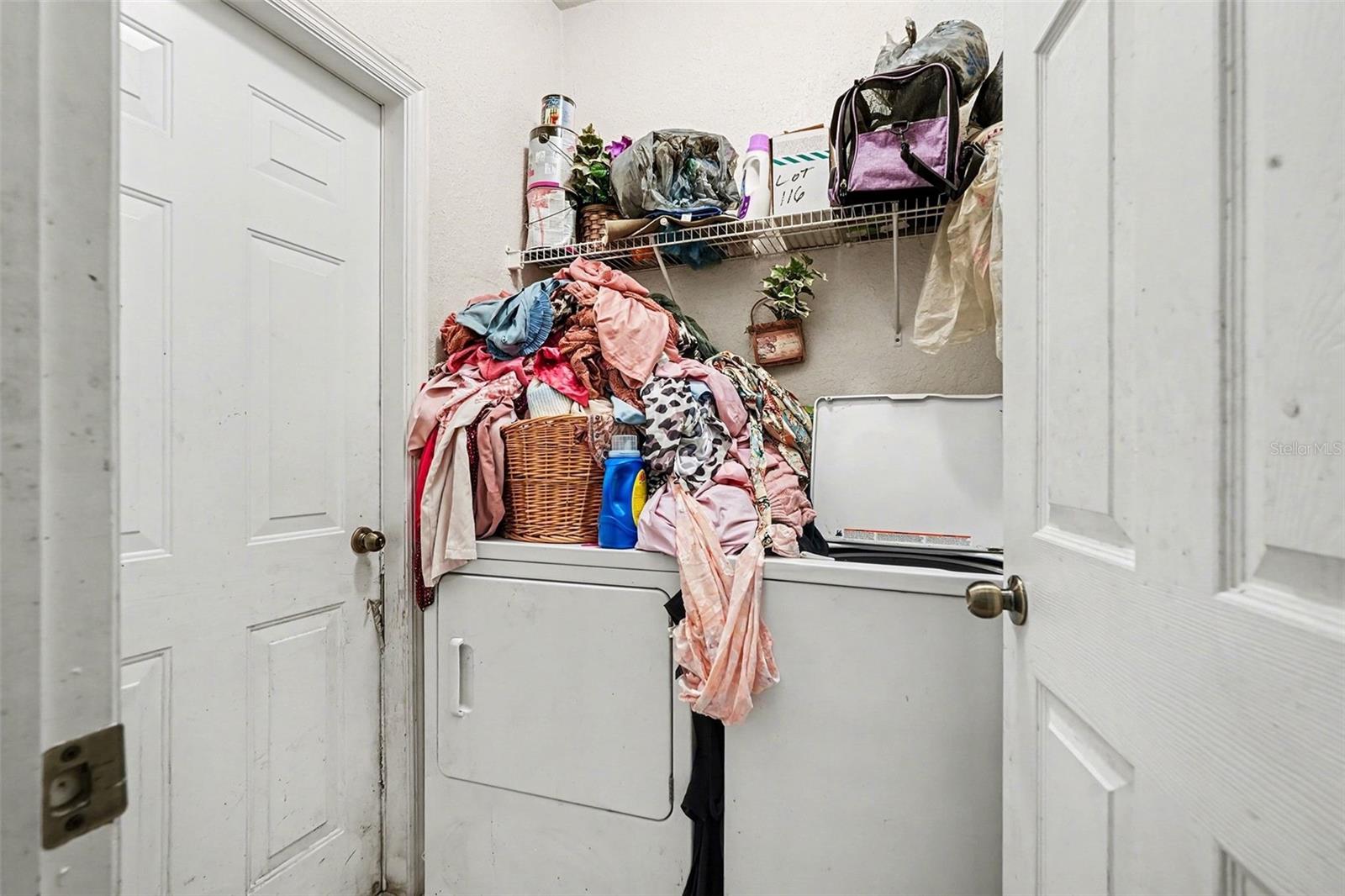 16318 PARKSTONE PALMS CT, TAMPA, FL, 33647