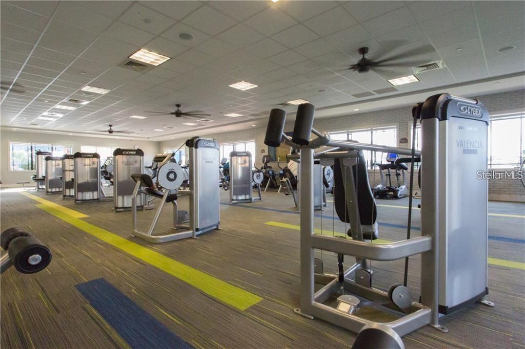 16121 CAPE CORAL DR, WIMAUMA, FL, 33598