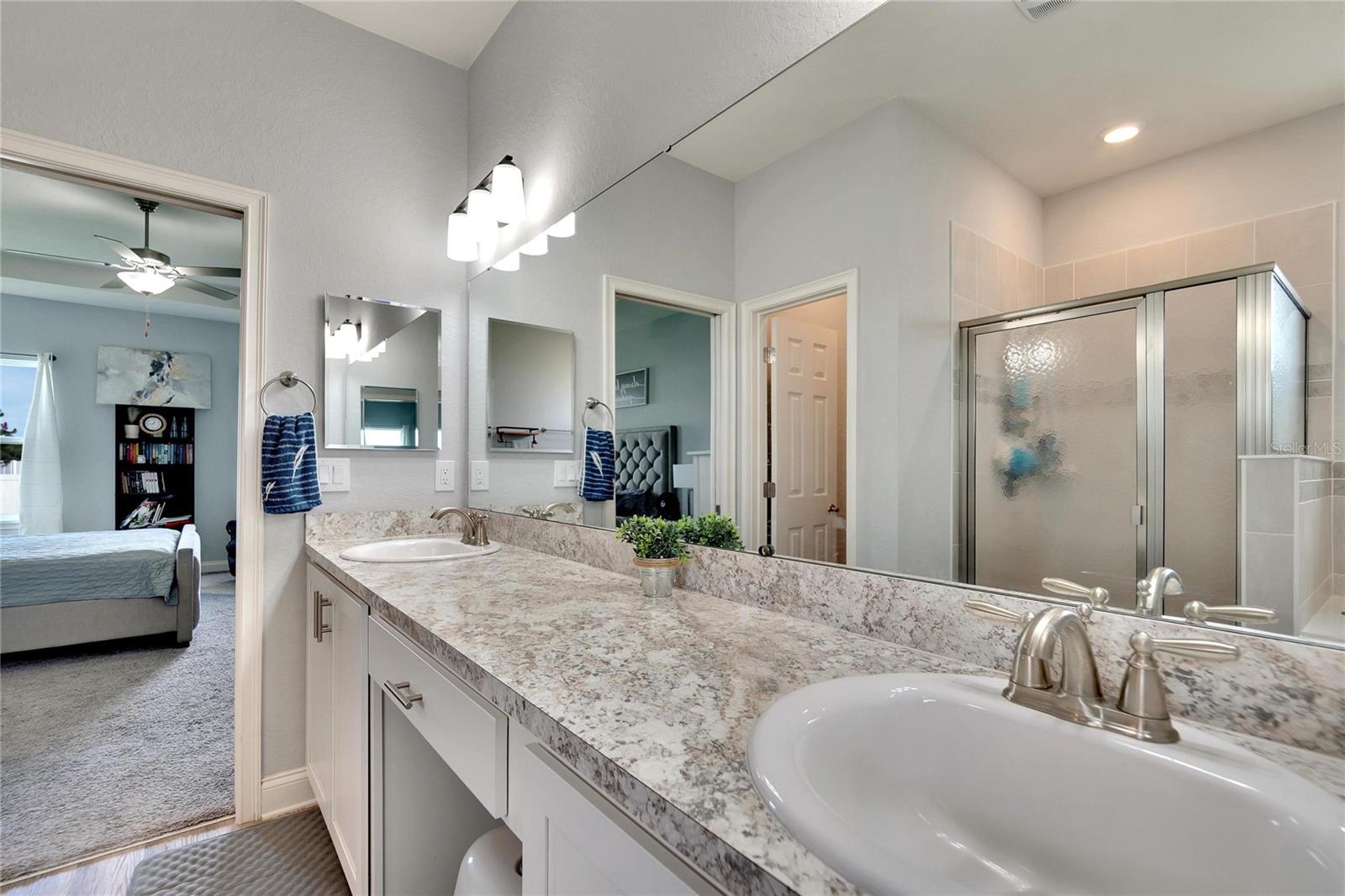 4435 DEVINSHIRE FIELDS LOOP, PLANT CITY, FL, 33567