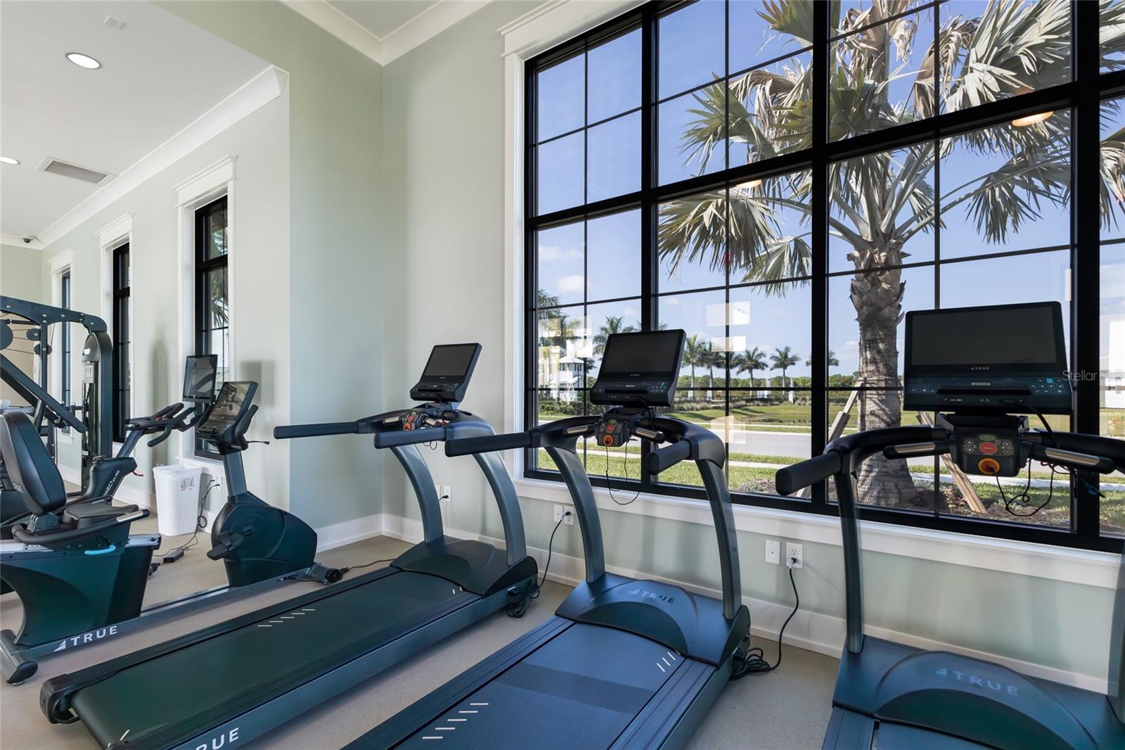 17615 SAVORY MIST CIR, BRADENTON, FL, 34211