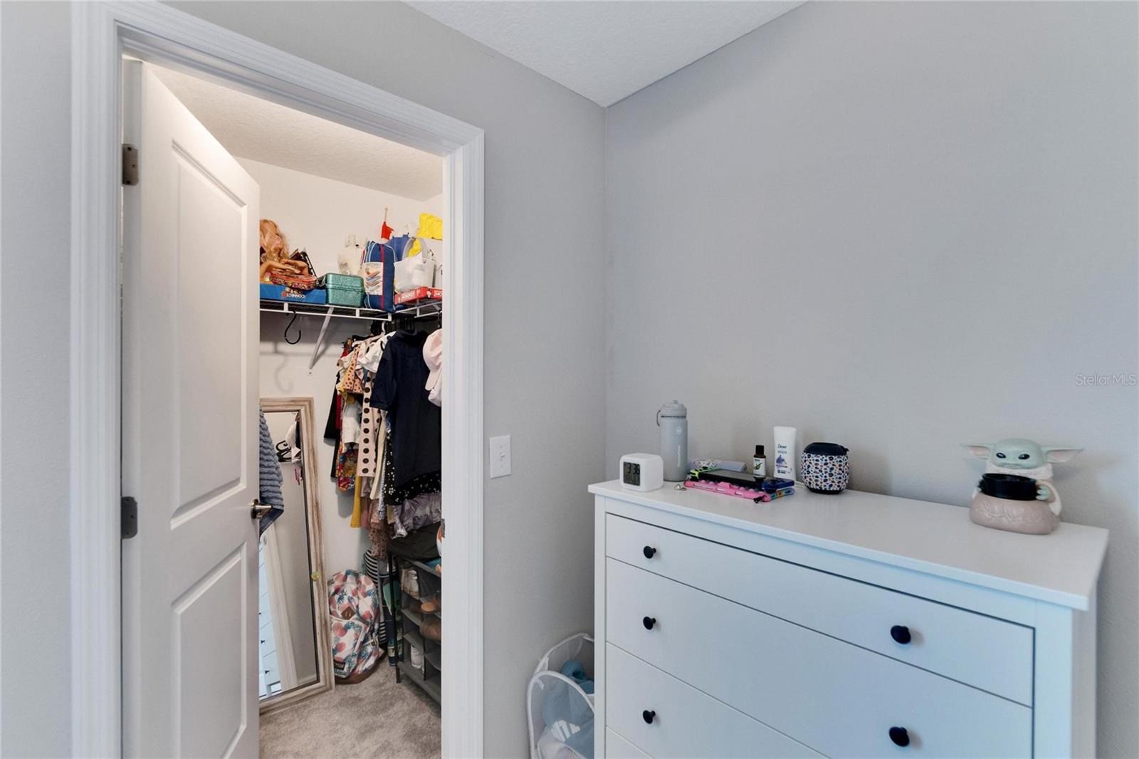 3107 OYSTER COVE ST, WIMAUMA, FL, 33598