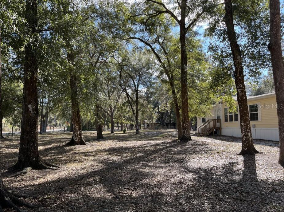 5582 CR 317, BUSHNELL, FL, 33513