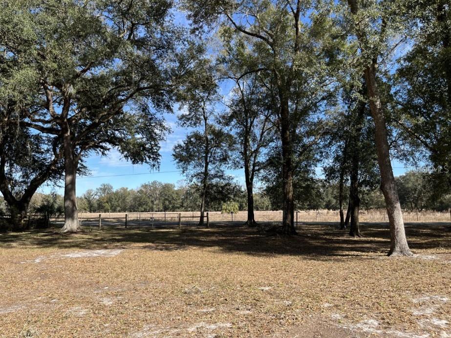 5582 CR 317, BUSHNELL, FL, 33513