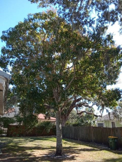 SARASOTA BAY PARK, SARASOTA, FL, 34234