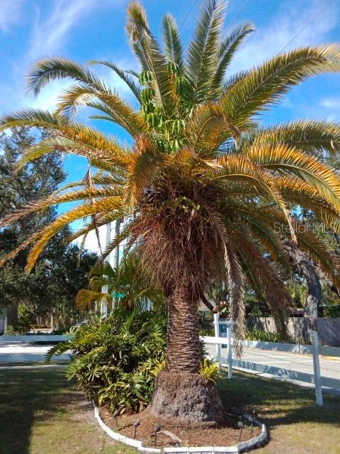 SARASOTA BAY PARK, SARASOTA, FL, 34234