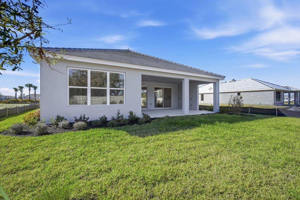 30167 Imperati ~ Ready Now