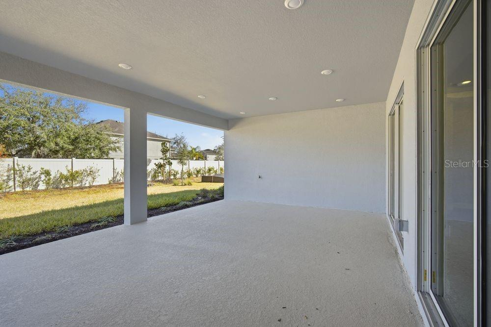 30167 Imperati ~ Ready Now