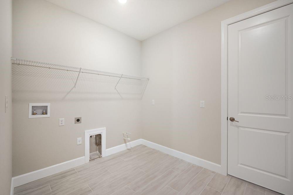 30167 Imperati ~ Ready Now