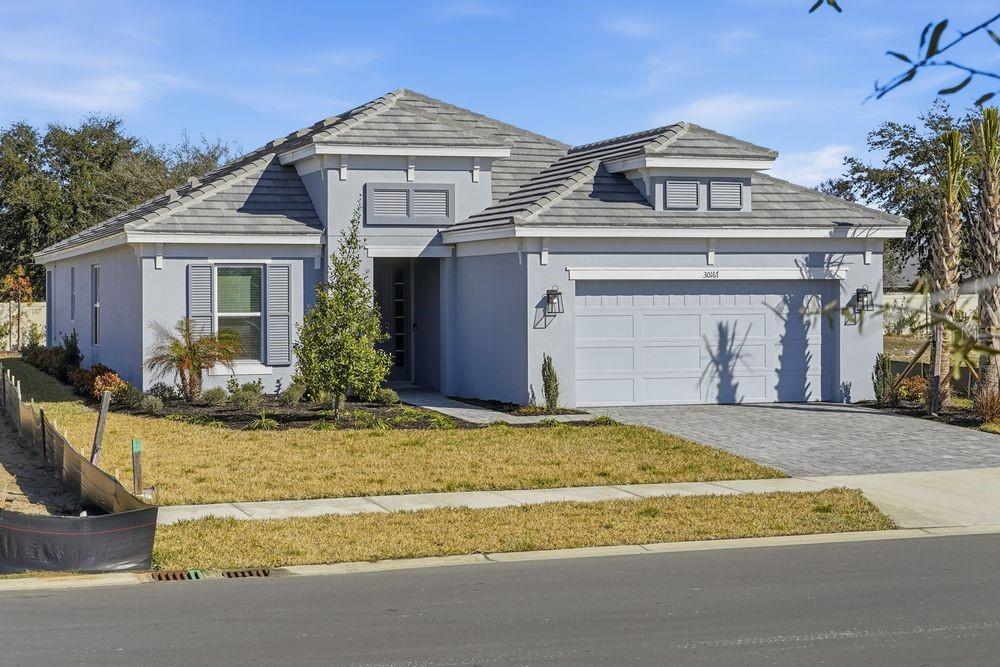 30167 Imperati ~ Ready Now