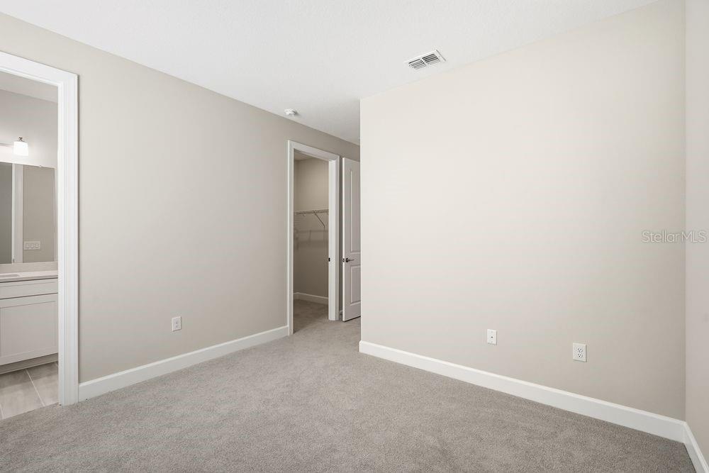 30167 Imperati ~ Ready Now