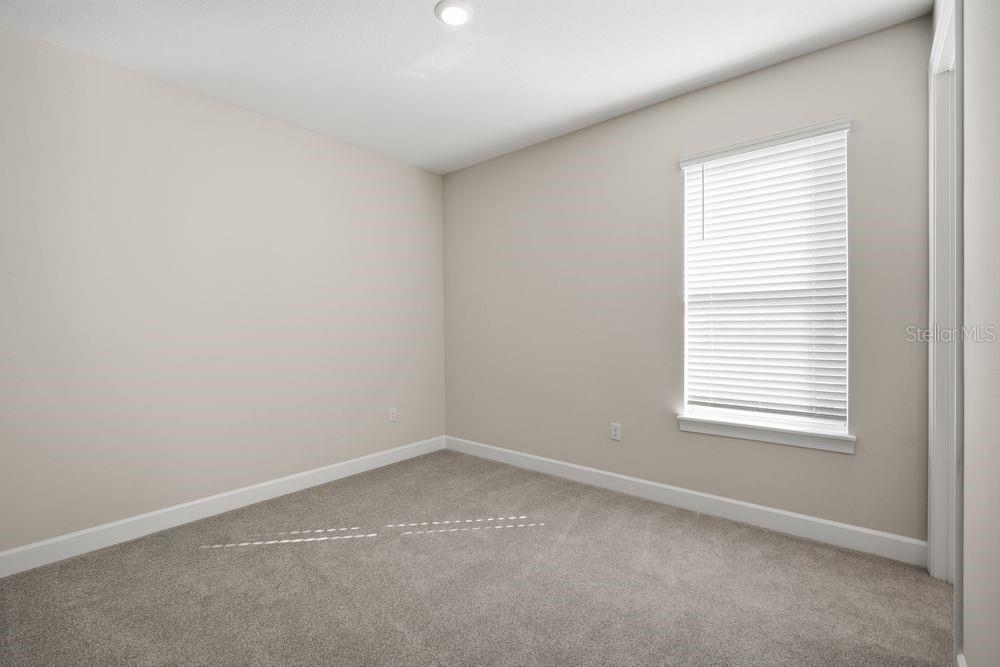 30167 Imperati ~ Ready Now