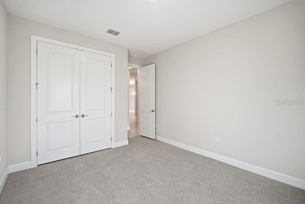 30167 Imperati ~ Ready Now