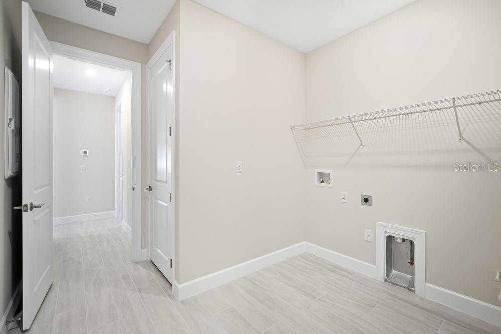 30167 Imperati ~ Ready Now