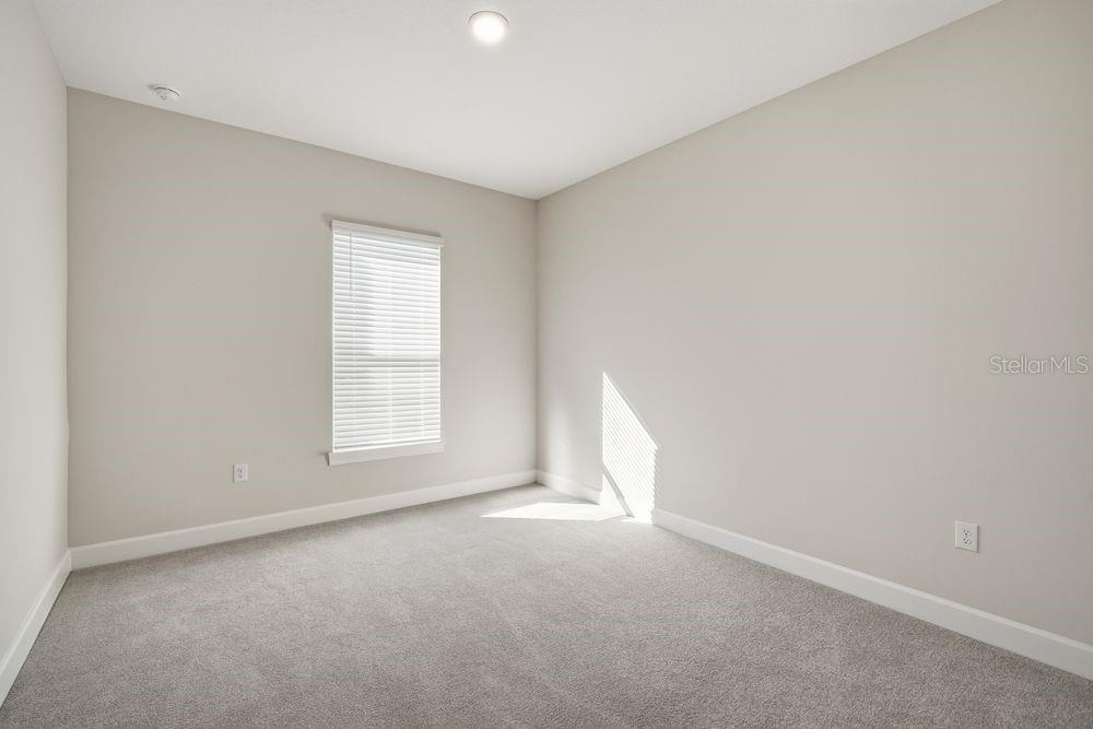 30167 Imperati ~ Ready Now