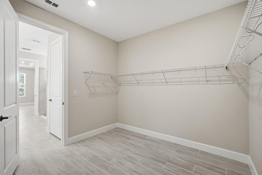 30167 Imperati ~ Ready Now