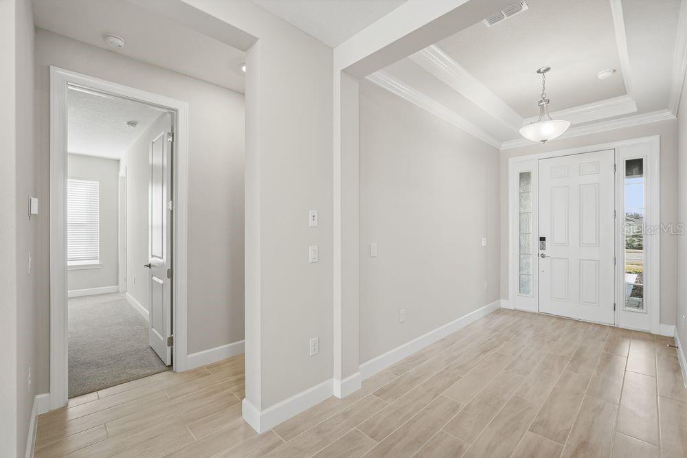 30167 Imperati ~ Ready Now