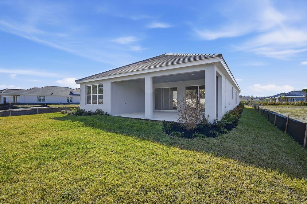 30167 Imperati ~ Ready Now