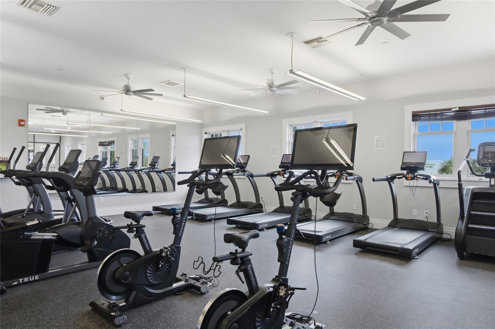 5816 BRUNNER CT, PALMETTO, FL, 34221