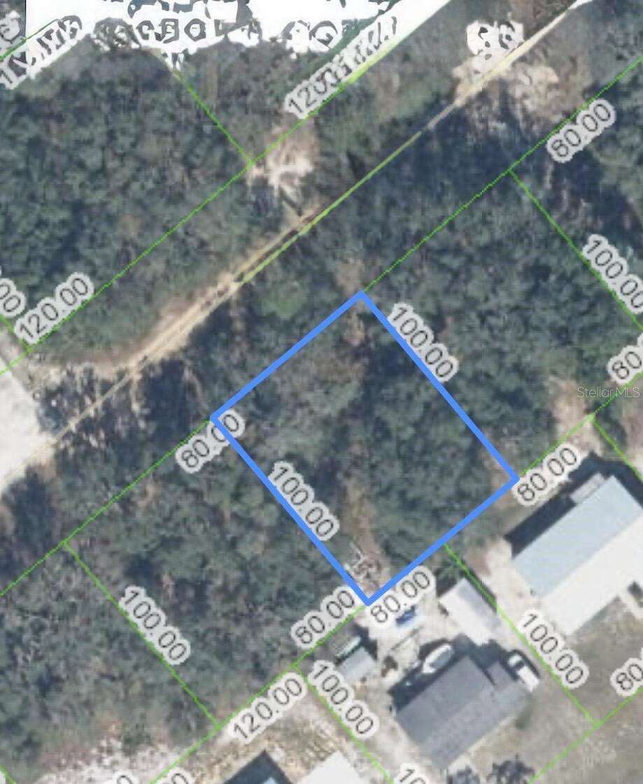 3171 W MADDOX RD, AVON PARK, FL, 33825