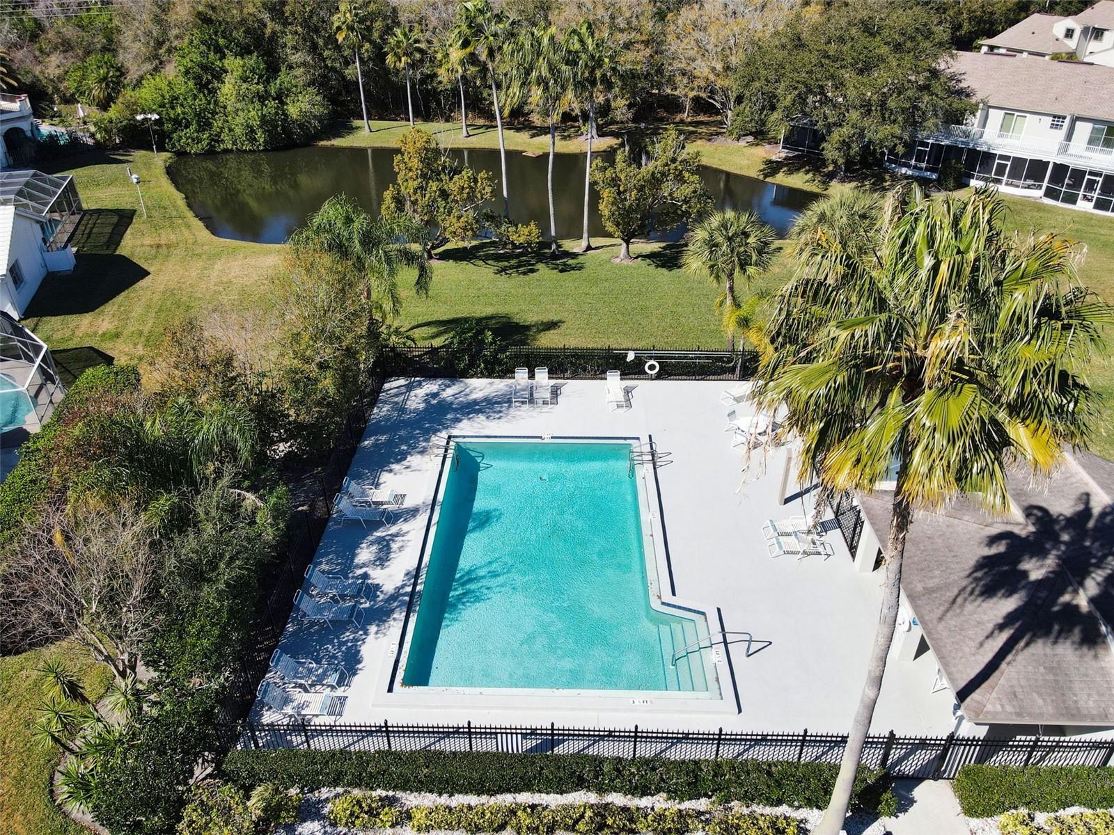 602 QUAIL KEEP DR #602, SAFETY HARBOR, FL, 34695