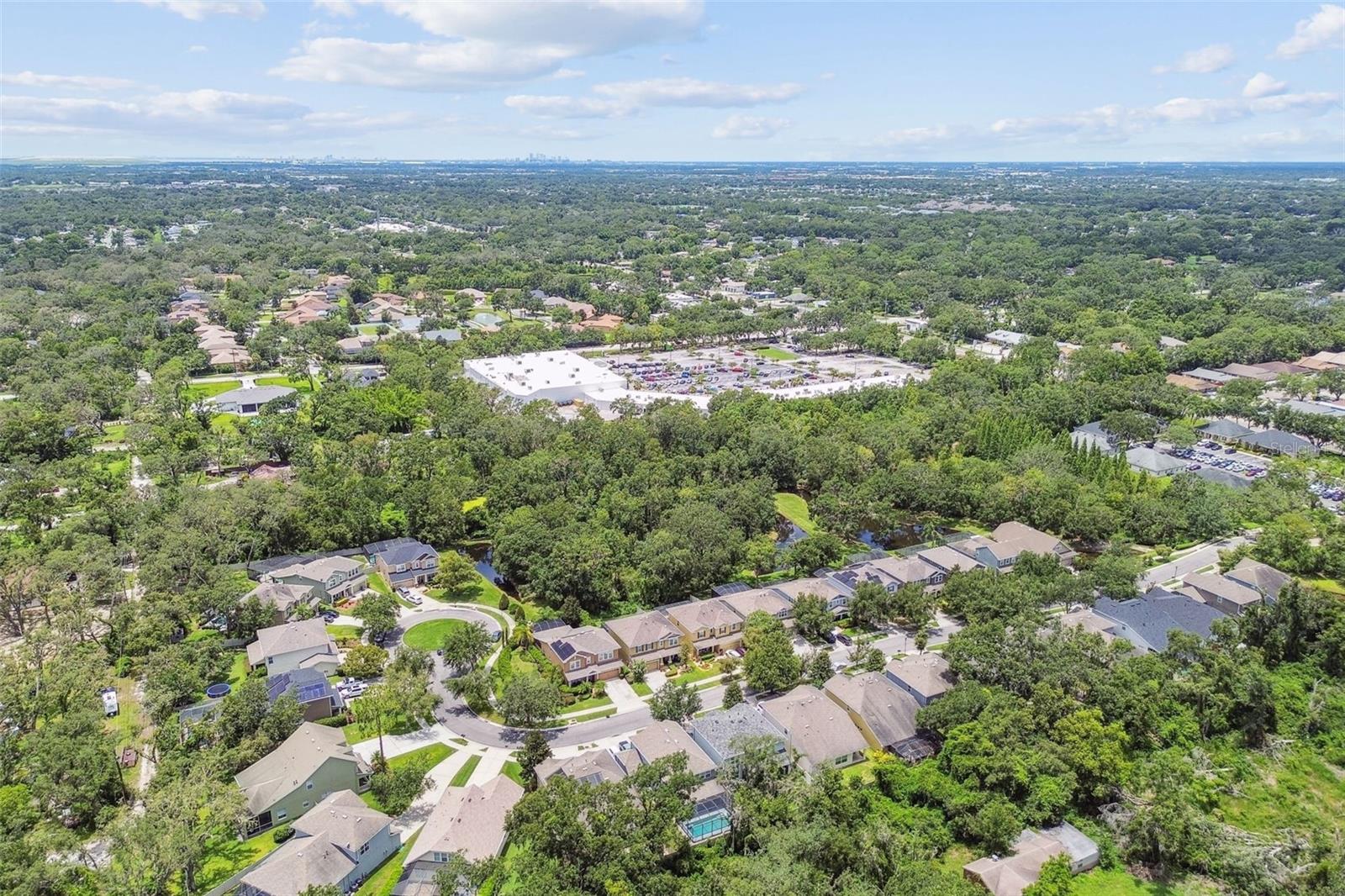 3530 BROOK CROSSING DR, BRANDON, FL, 33511