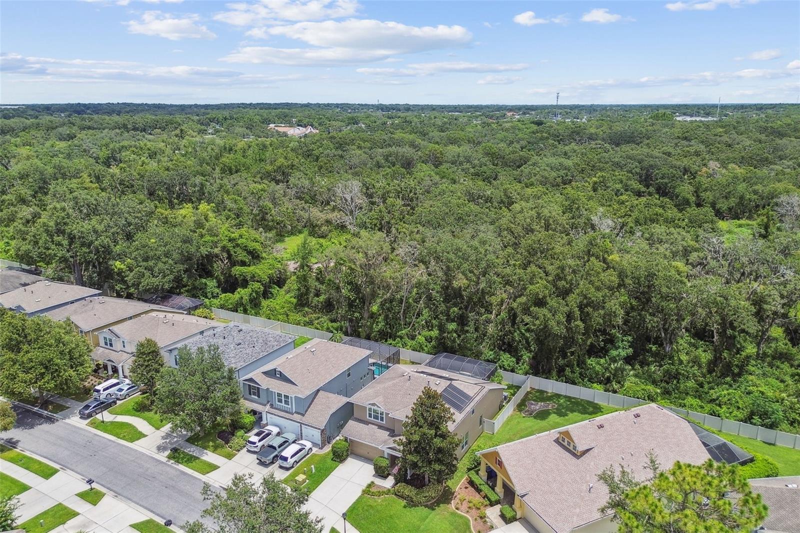 3530 BROOK CROSSING DR, BRANDON, FL, 33511