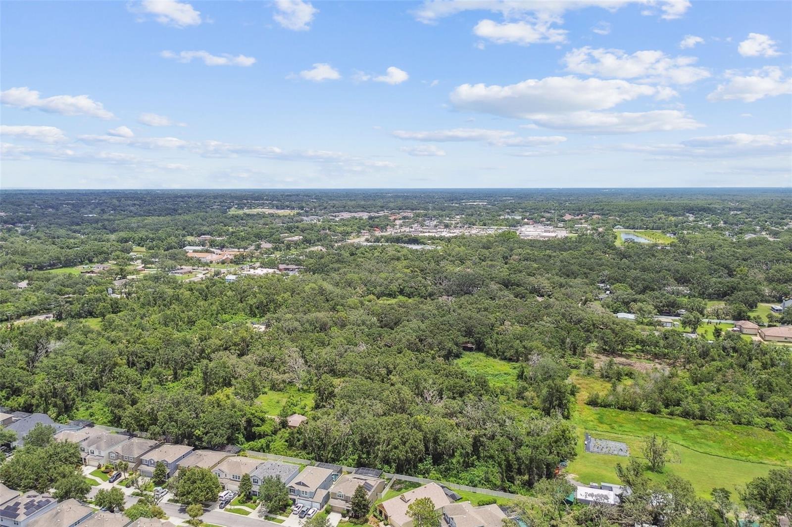 3530 BROOK CROSSING DR, BRANDON, FL, 33511