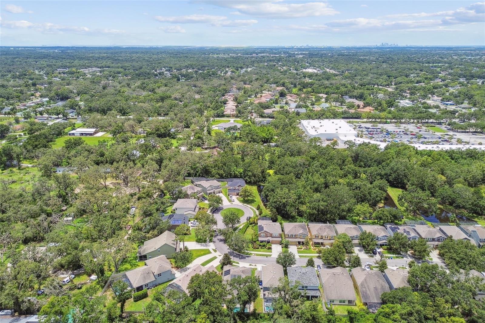 3530 BROOK CROSSING DR, BRANDON, FL, 33511