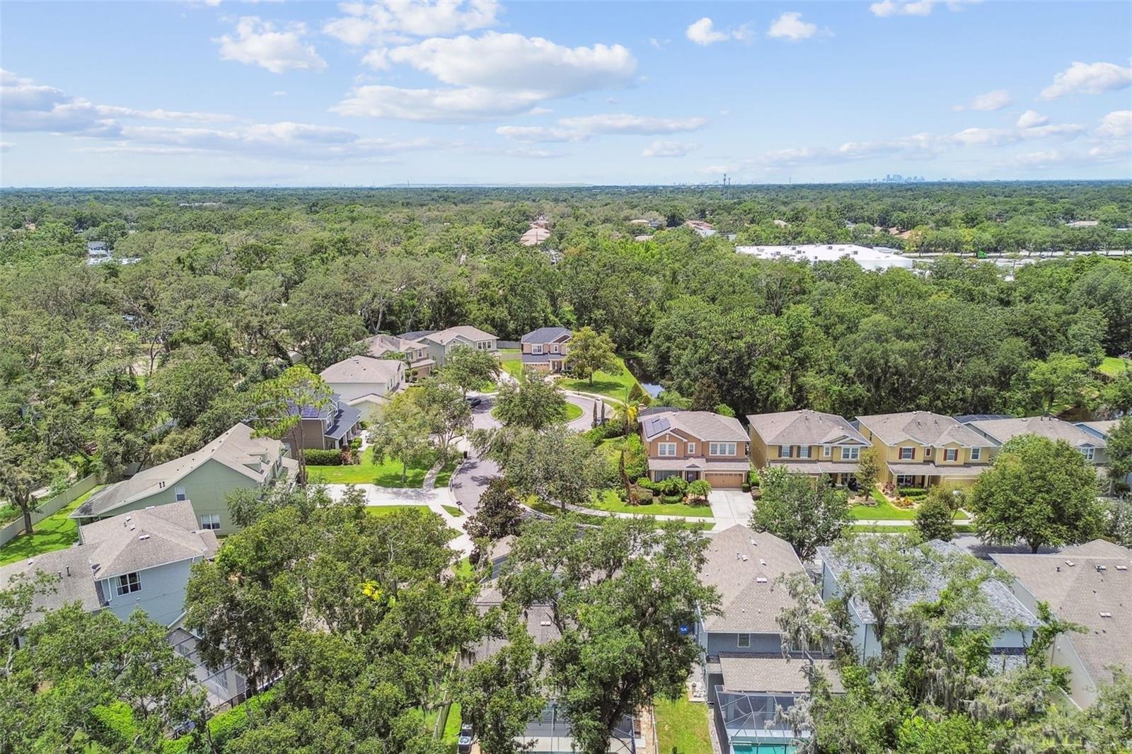 3530 BROOK CROSSING DR, BRANDON, FL, 33511