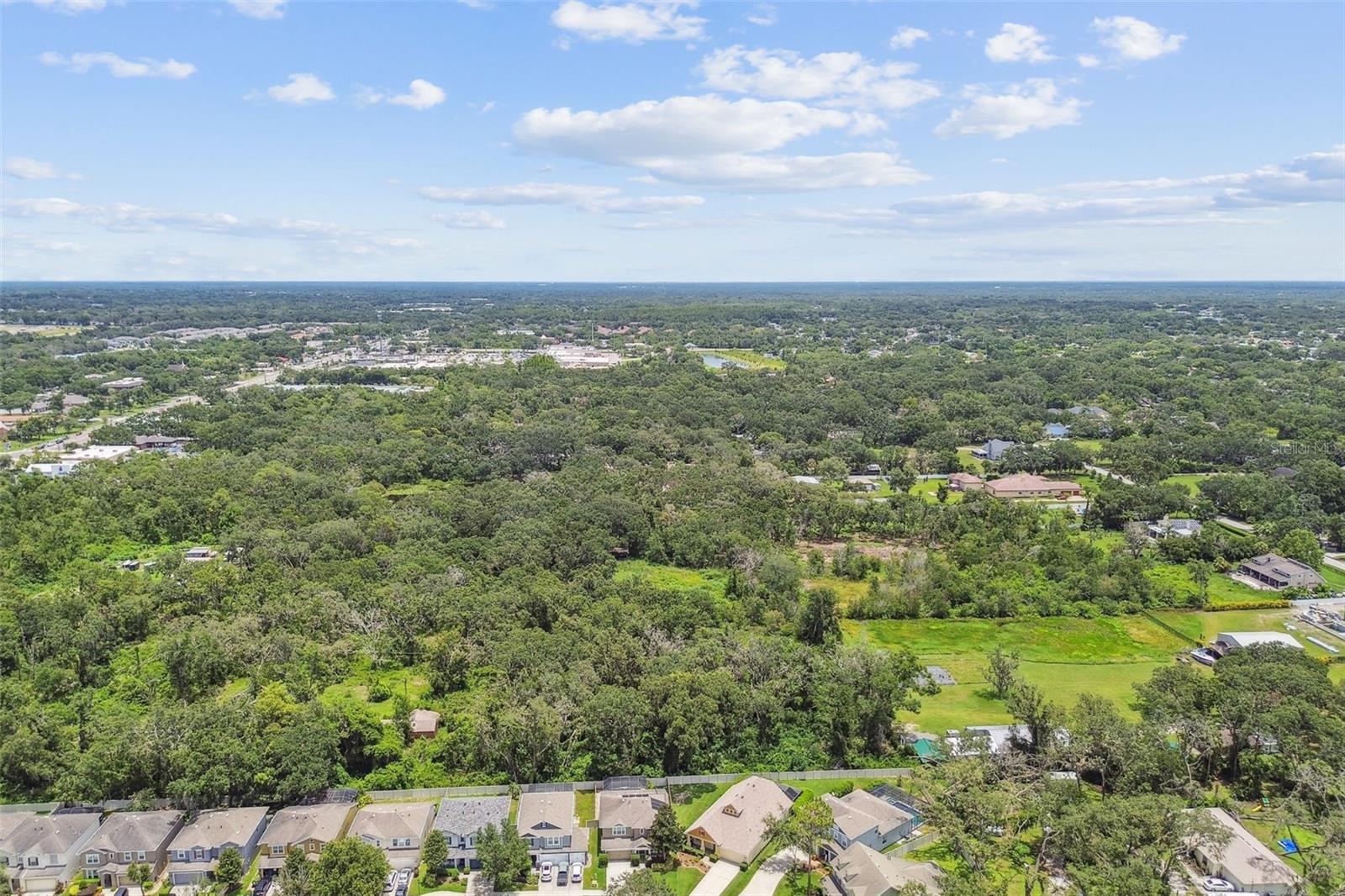 3530 BROOK CROSSING DR, BRANDON, FL, 33511