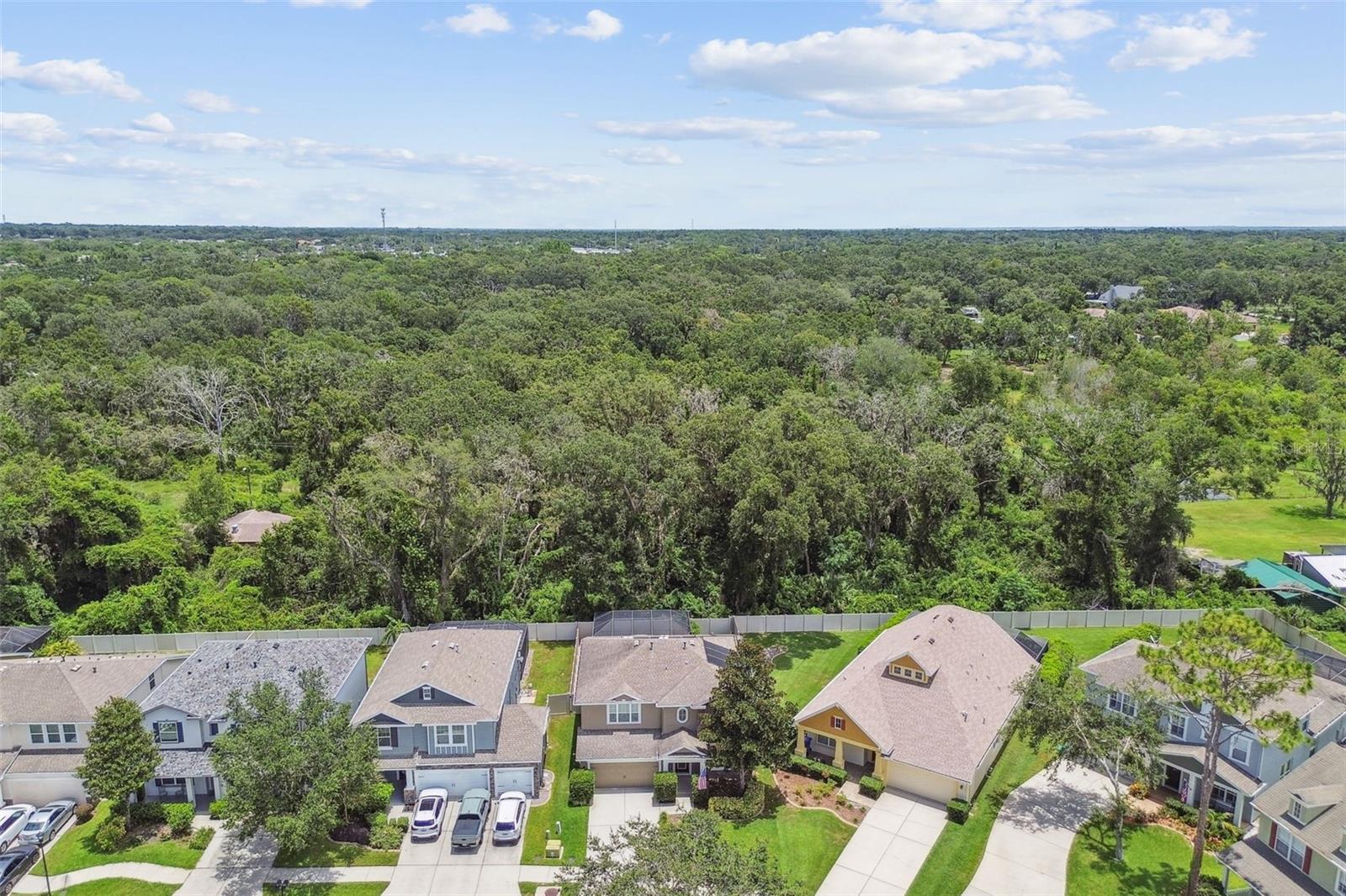 3530 BROOK CROSSING DR, BRANDON, FL, 33511