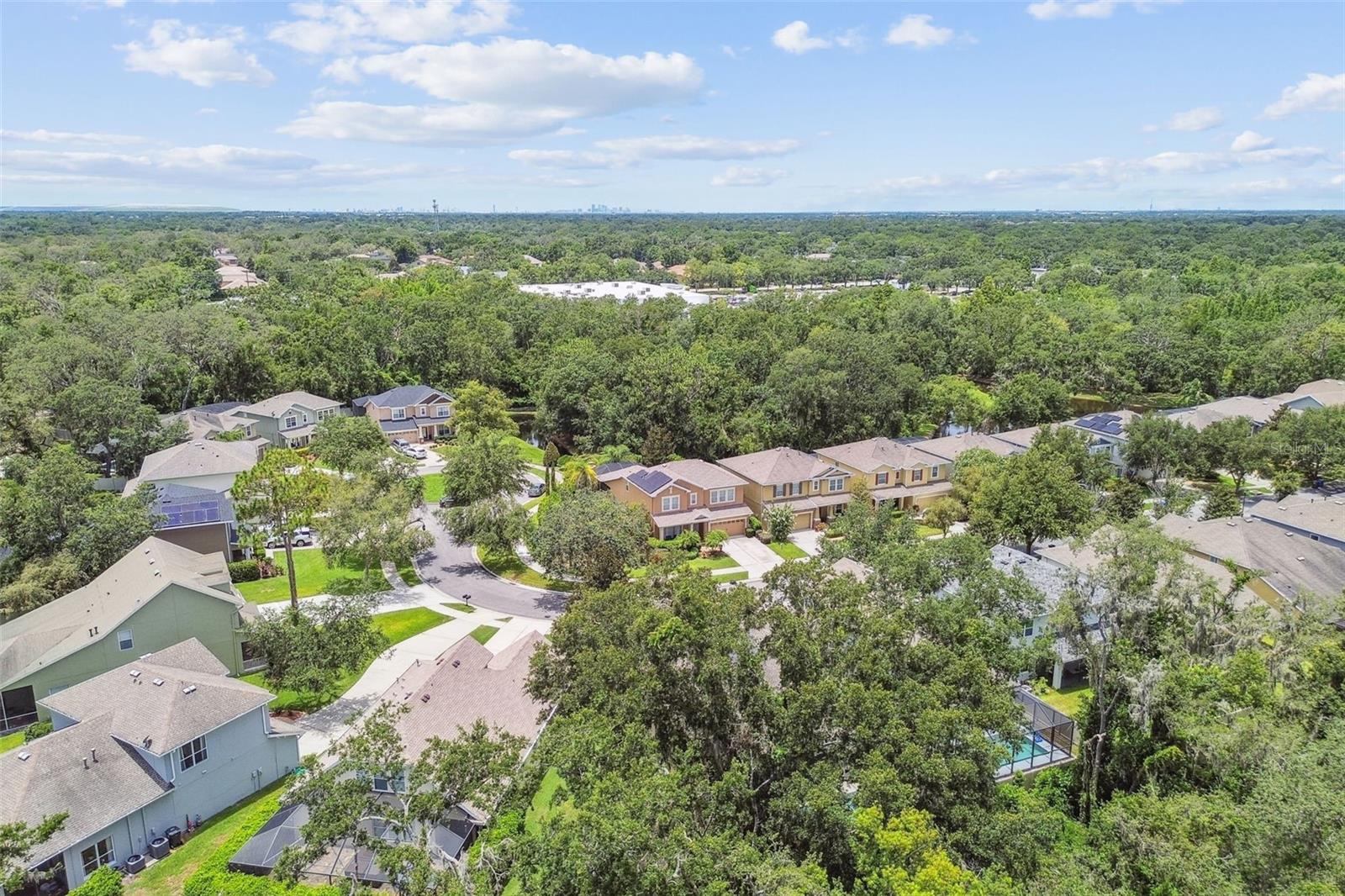 3530 BROOK CROSSING DR, BRANDON, FL, 33511