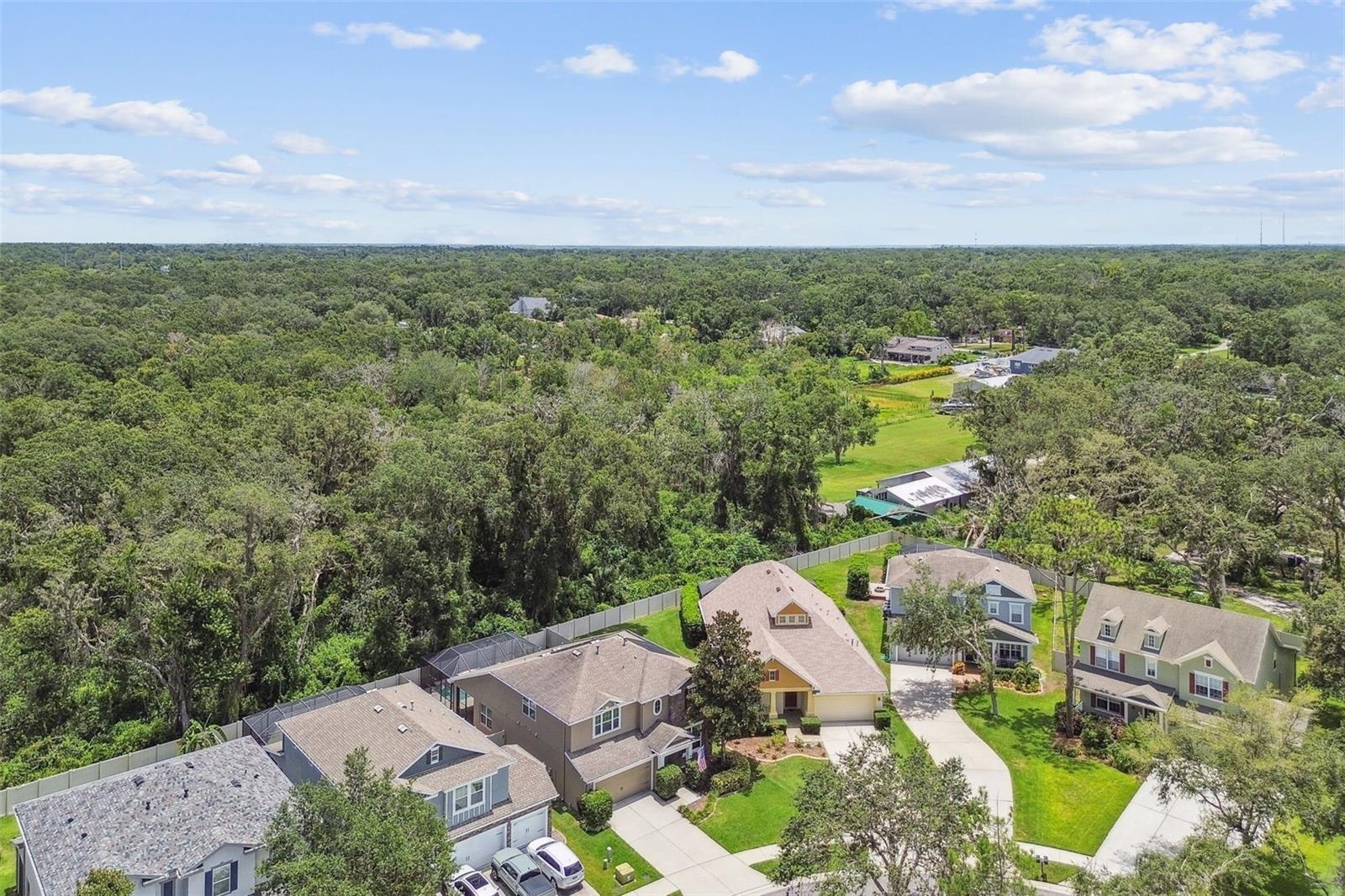 3530 BROOK CROSSING DR, BRANDON, FL, 33511