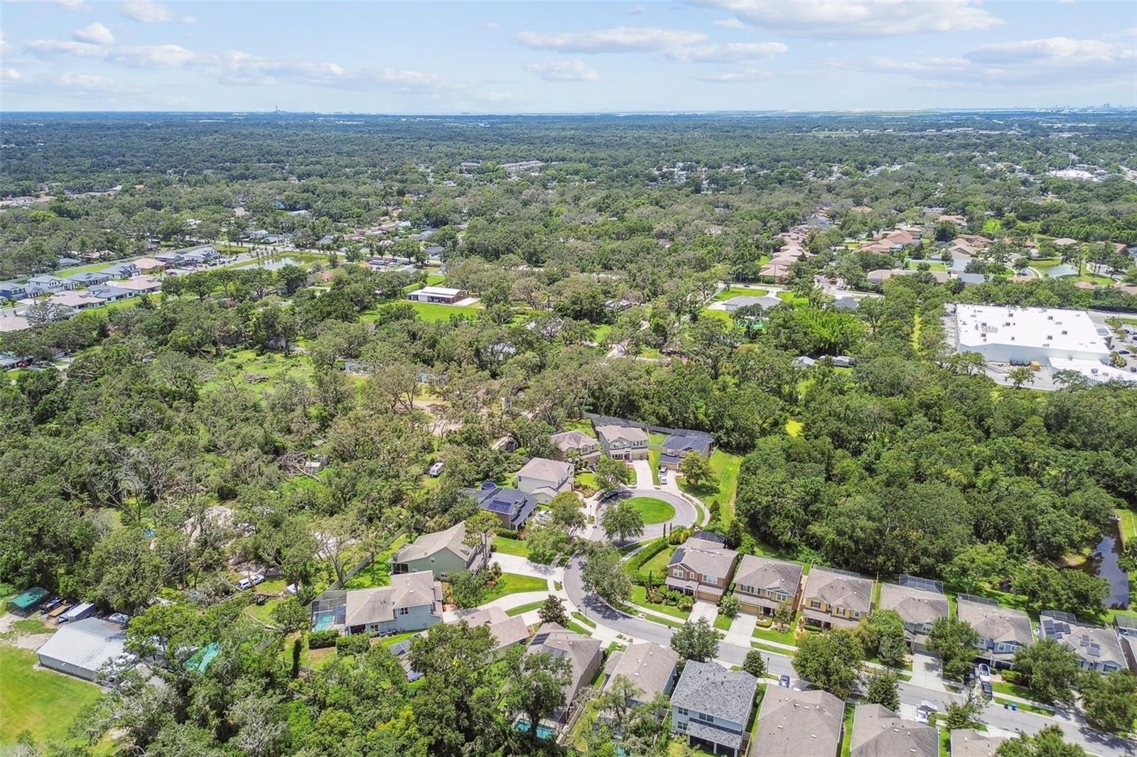 3530 BROOK CROSSING DR, BRANDON, FL, 33511