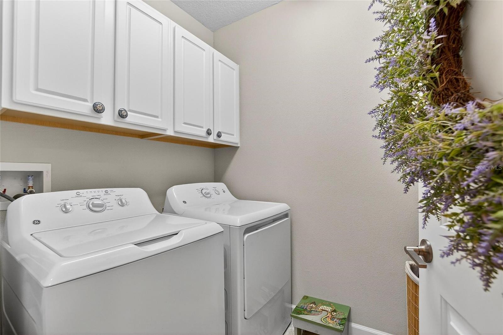 16909 APRIL PLUSH DR, WIMAUMA, FL, 33598