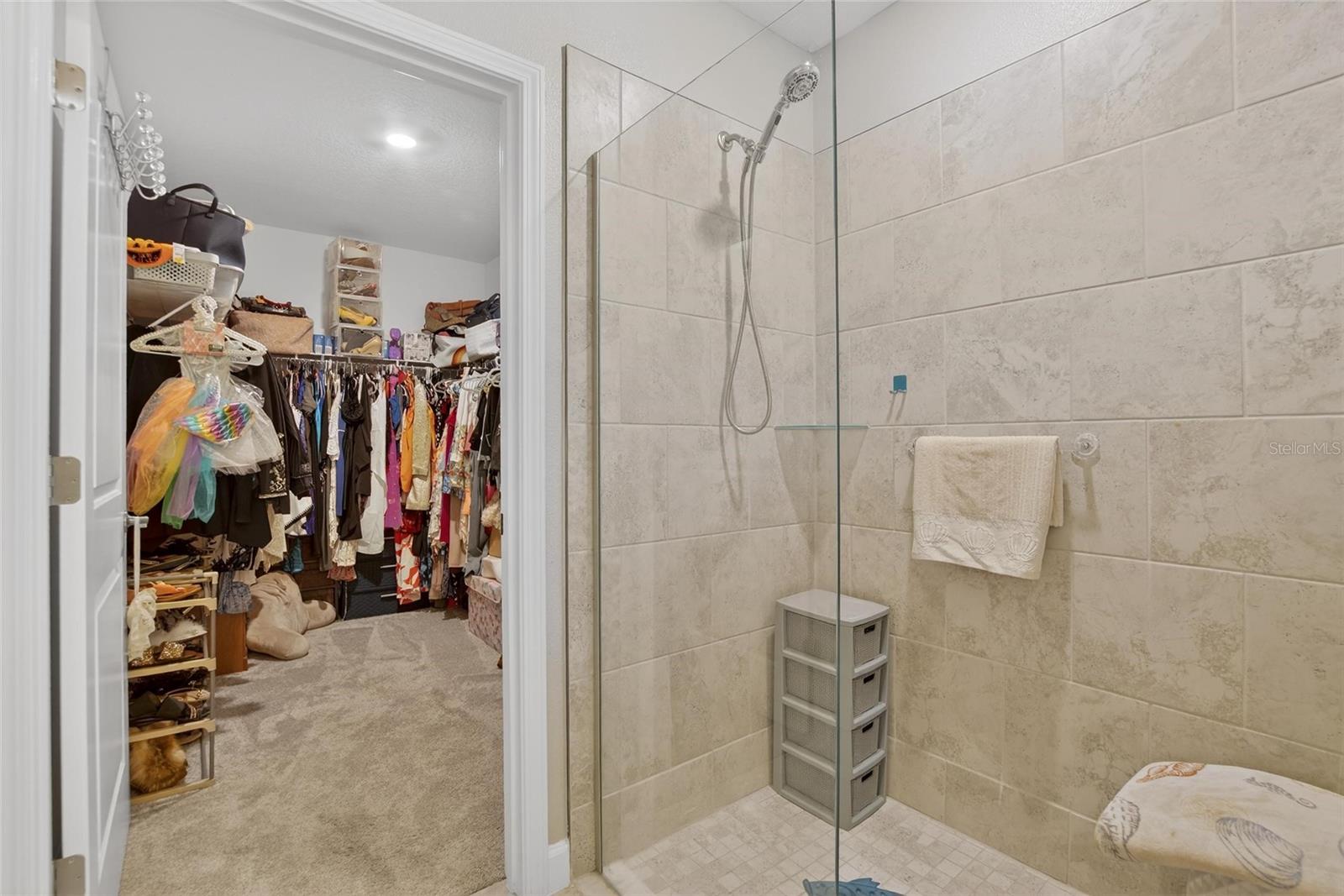 16909 APRIL PLUSH DR, WIMAUMA, FL, 33598