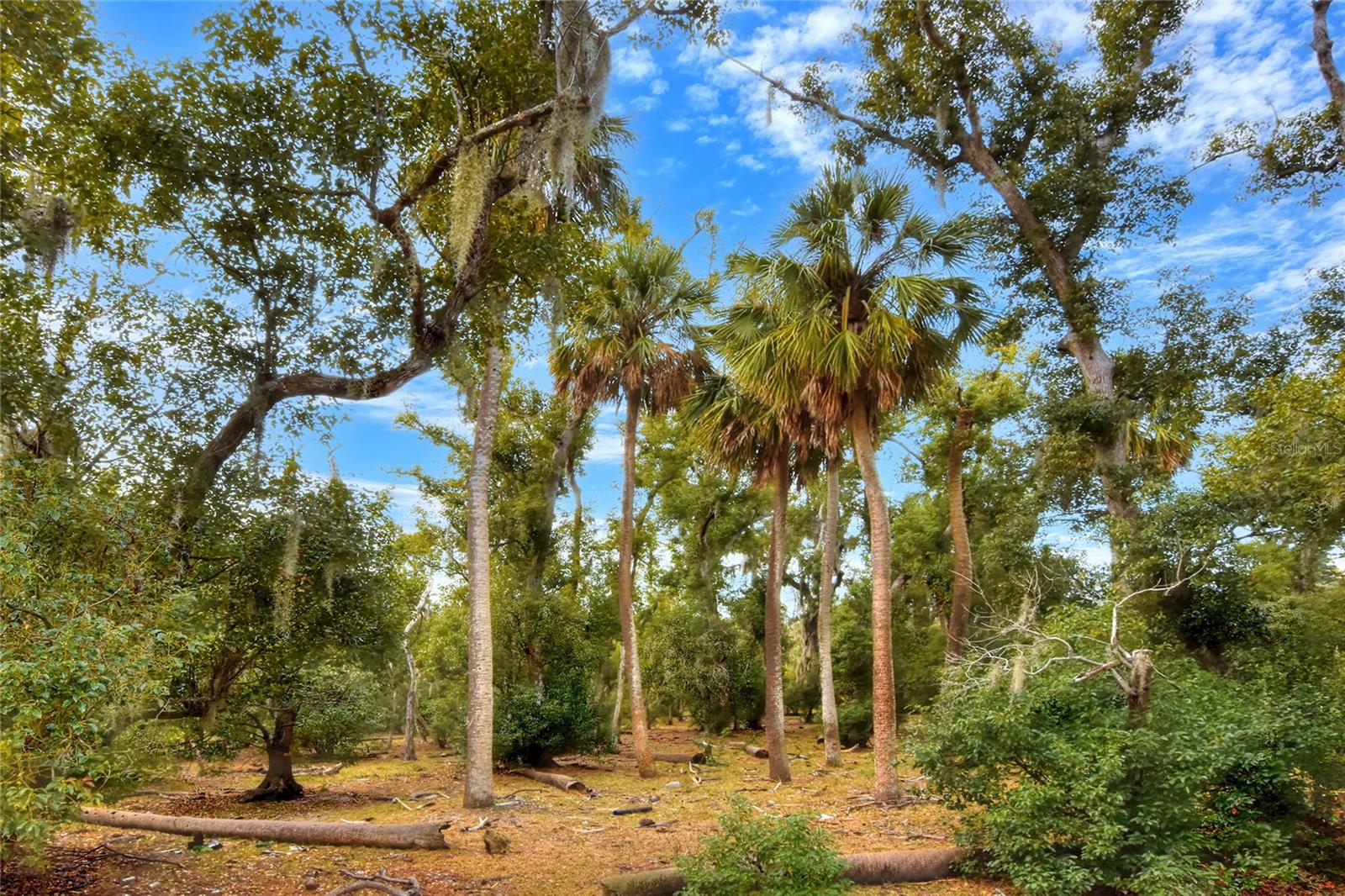 0 CARLTON LAKE RD, WIMAUMA, FL, 33598