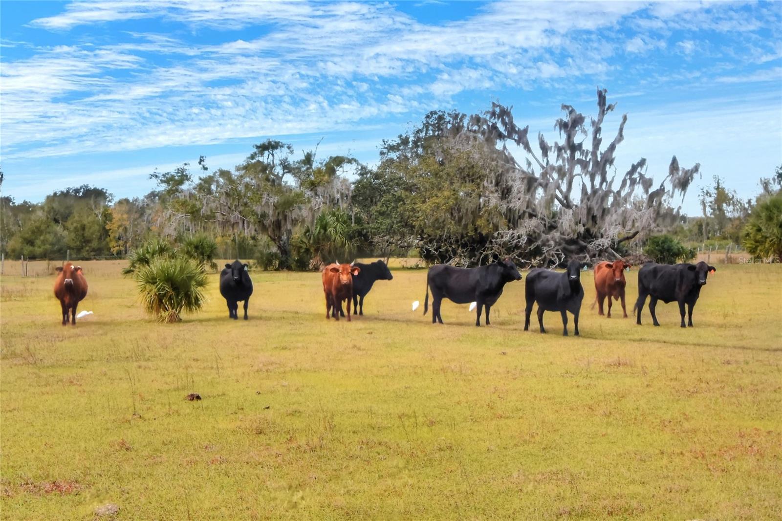 0 CARLTON LAKE RD, WIMAUMA, FL, 33598