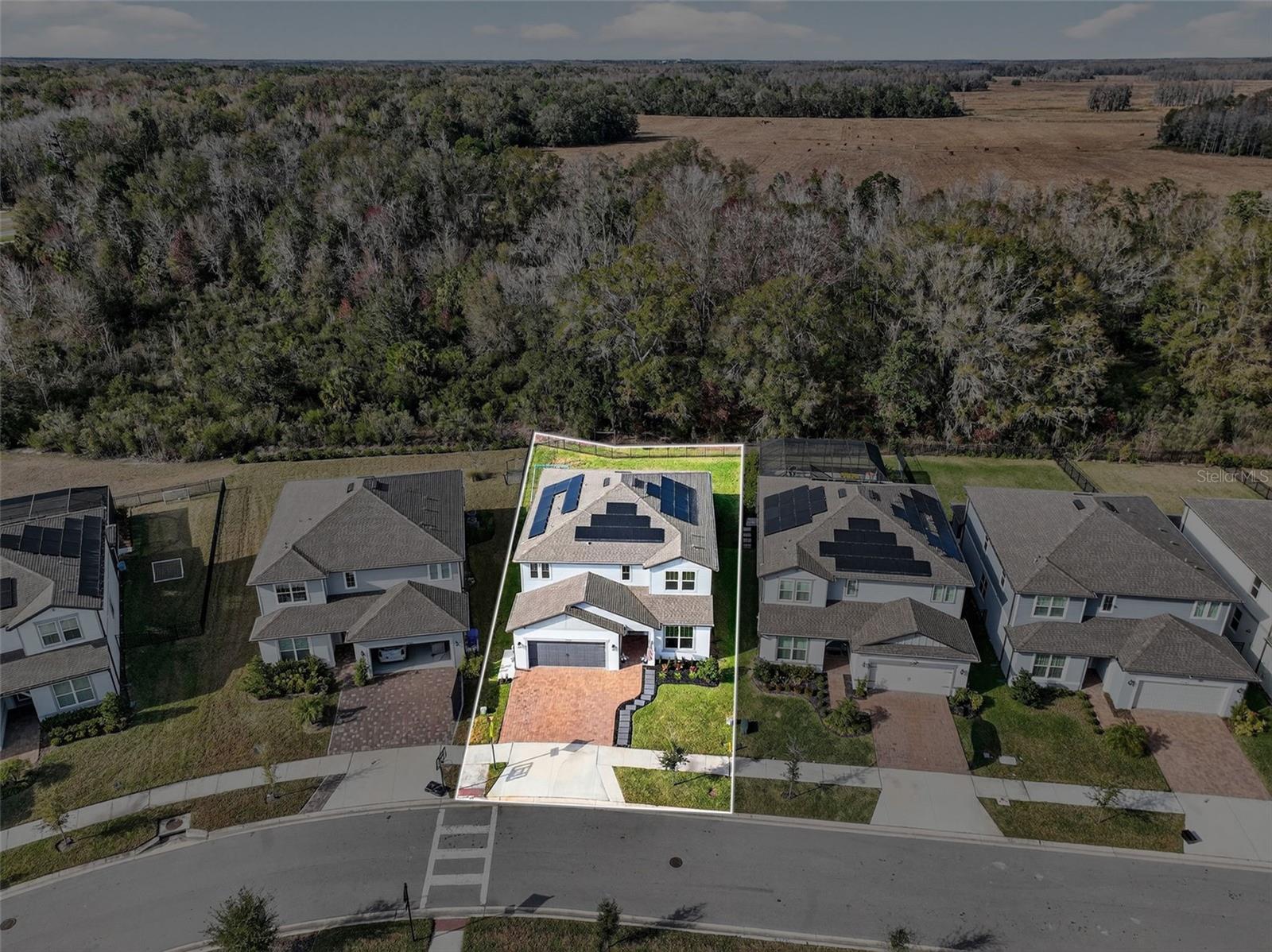 17731 RAMBLE ON WAY, LAND O LAKES, FL, 34638