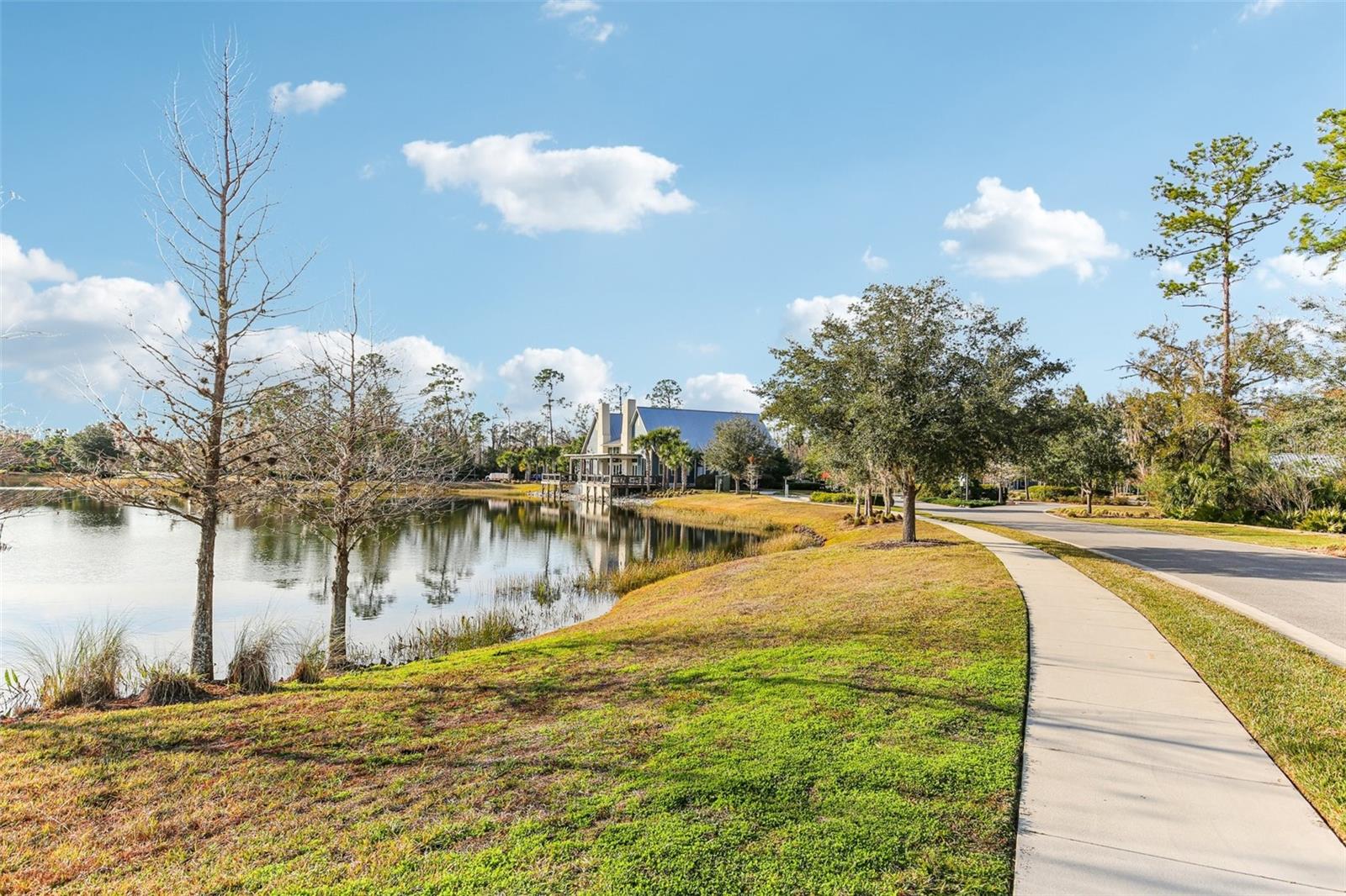 17731 RAMBLE ON WAY, LAND O LAKES, FL, 34638