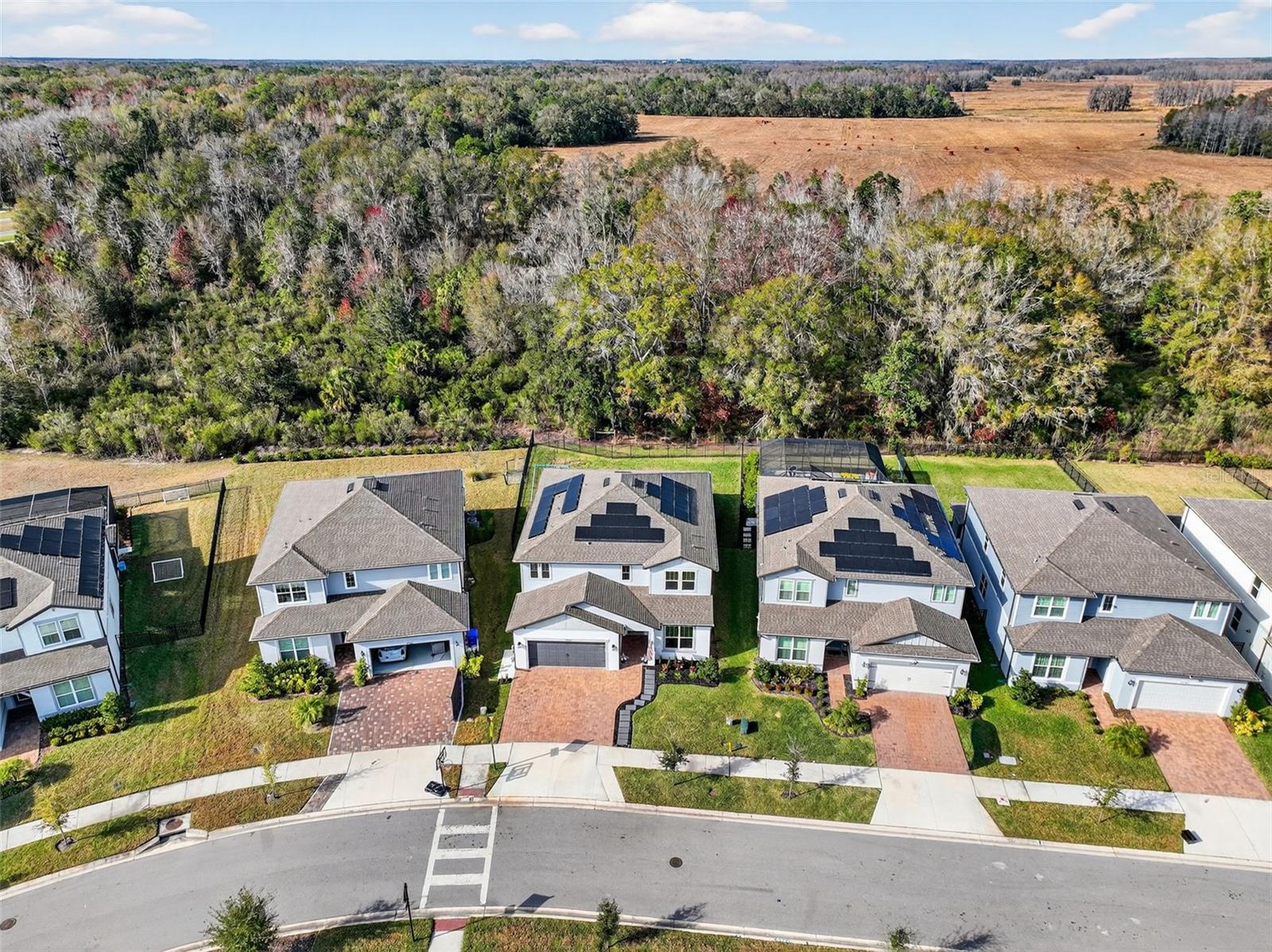 17731 RAMBLE ON WAY, LAND O LAKES, FL, 34638