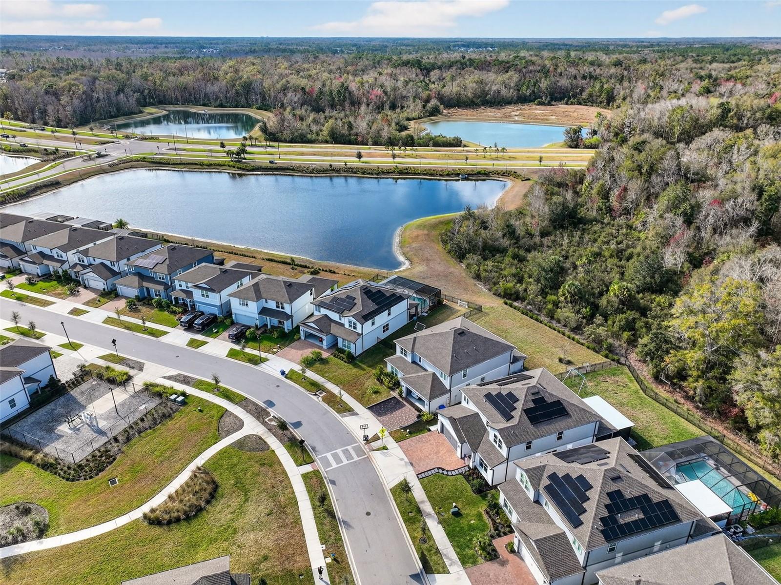 17731 RAMBLE ON WAY, LAND O LAKES, FL, 34638