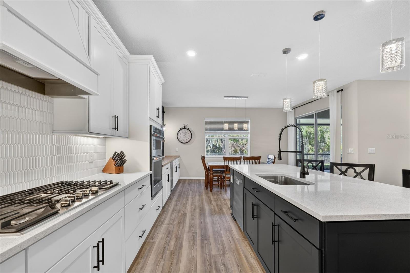 17731 RAMBLE ON WAY, LAND O LAKES, FL, 34638