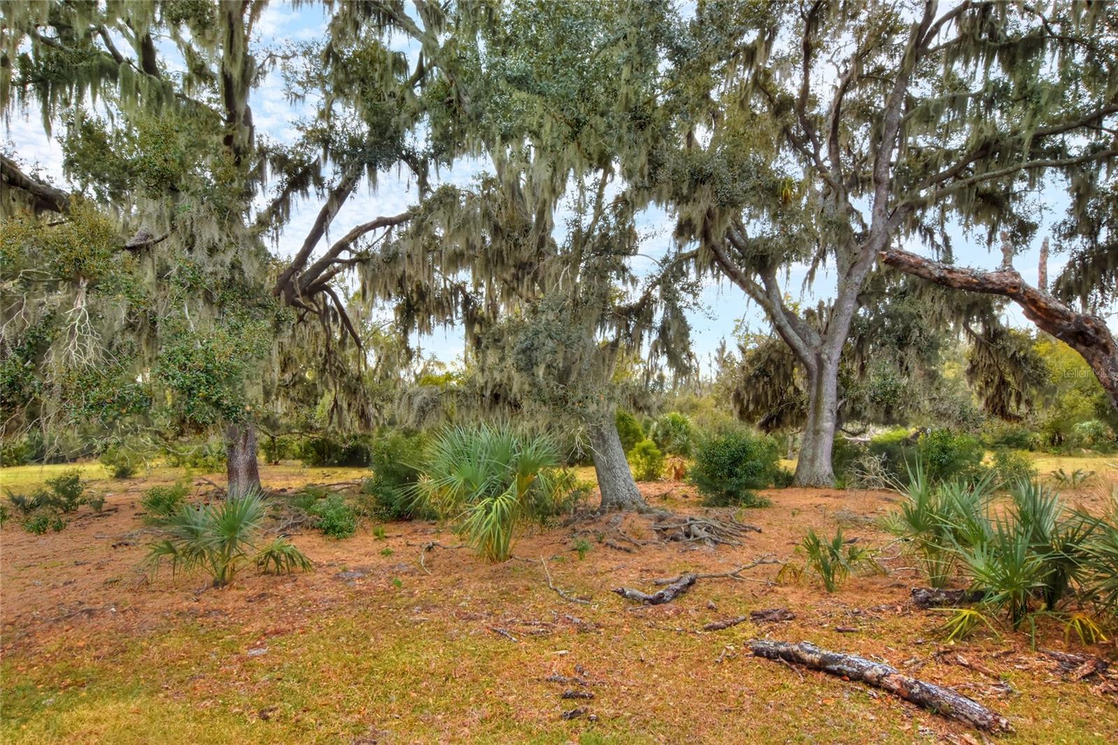 0 CARLTON LAKE RD, WIMAUMA, FL, 33598