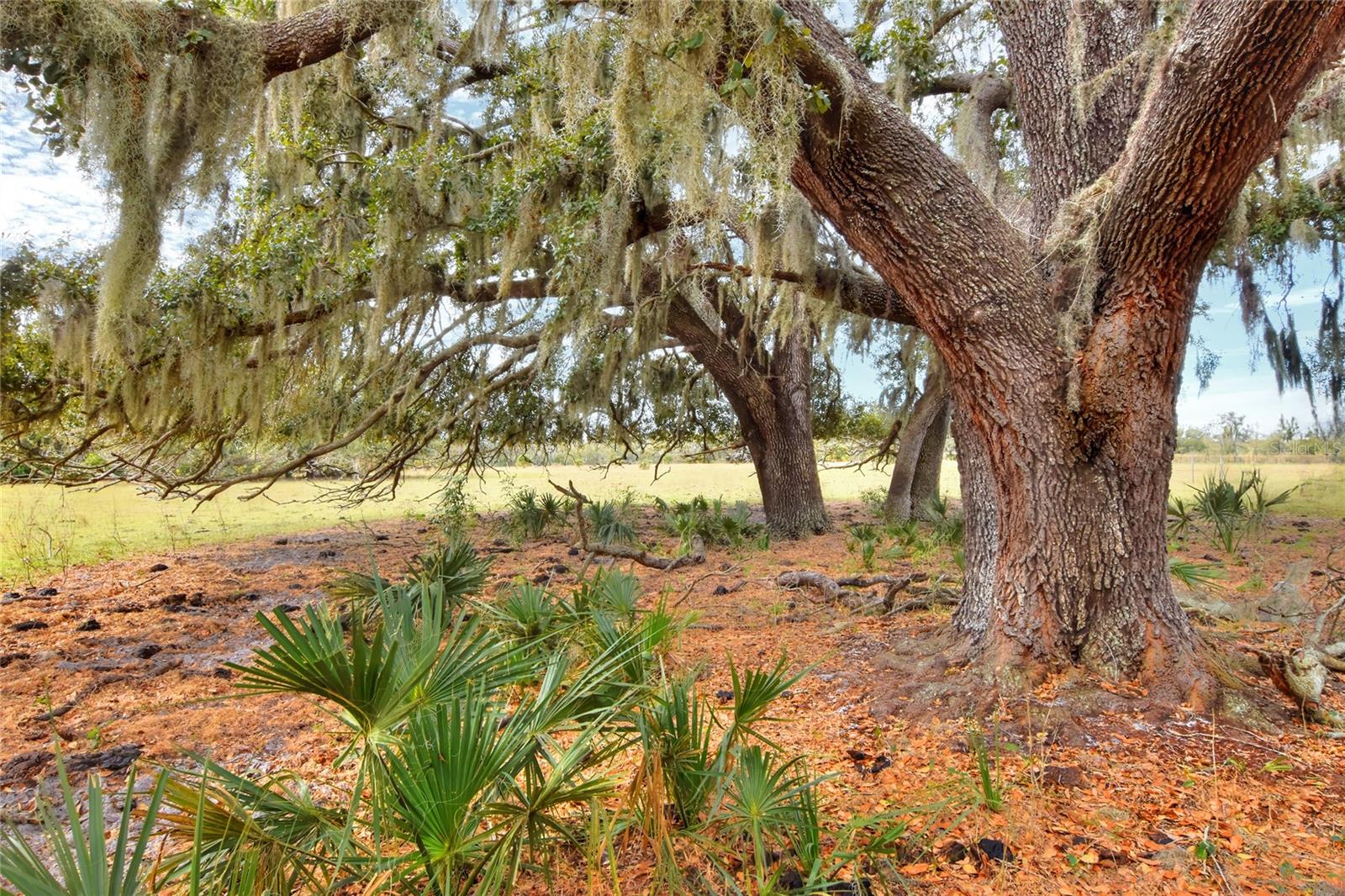 0 CARLTON LAKE RD, WIMAUMA, FL, 33598